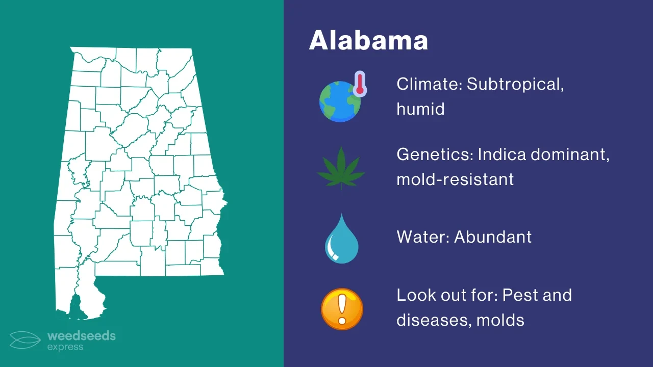 Cannabis Growing Climate in Alabama